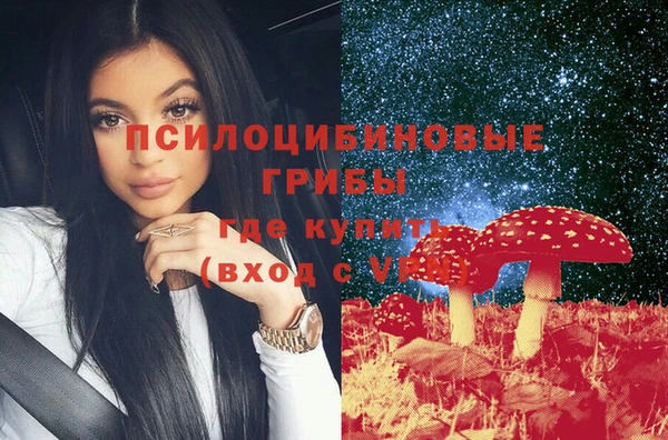 сатива Алексеевка
