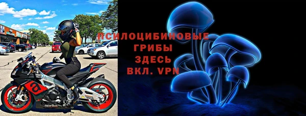 сатива Алексеевка