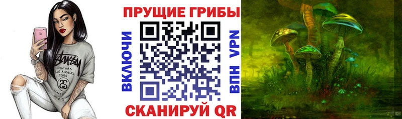 Галлюциногенные грибы ЛСД  Медынь 
